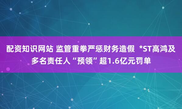 配资知识网站 监管重拳严惩财务造假  *ST高鸿及多名责任人“预领”超1.6亿元罚单