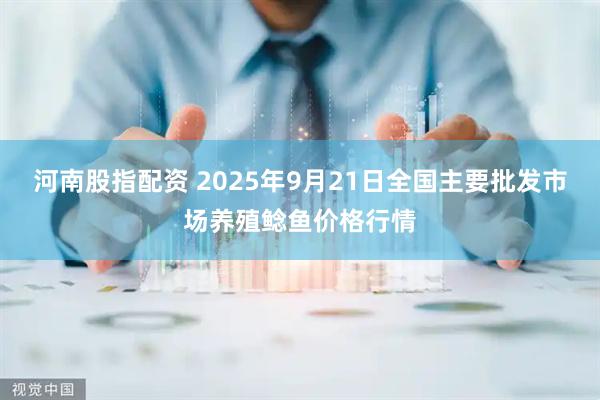 河南股指配资 2025年9月21日全国主要批发市场养殖鲶鱼价格行情