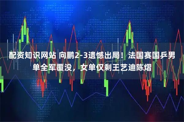 配资知识网站 向鹏2-3遗憾出局!法国赛国乒男单全军覆没,女单仅剩王艺迪陈熠