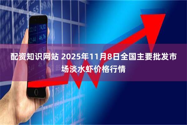 配资知识网站 2025年11月8日全国主要批发市场淡水虾价格行情